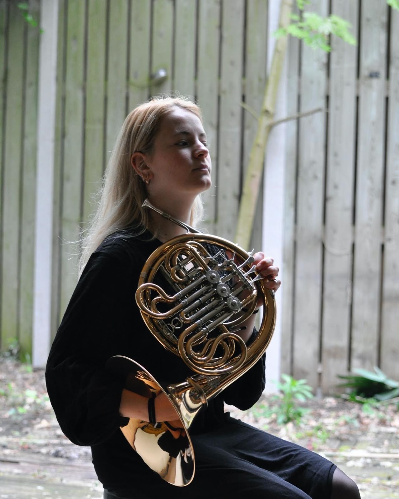 Natasha Dryden Silva Horn